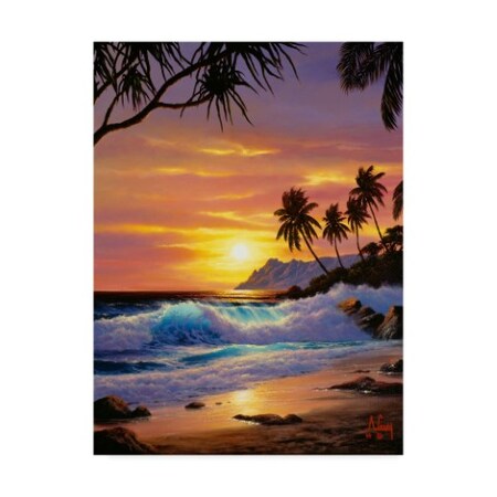 Trademark Fine Art Anthony Casay 'Tropical Coast 3' Canvas Art, 35x47 ALI20347-C3547GG